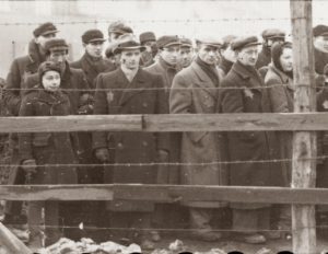 Image of People with Jewish star behind barbwire